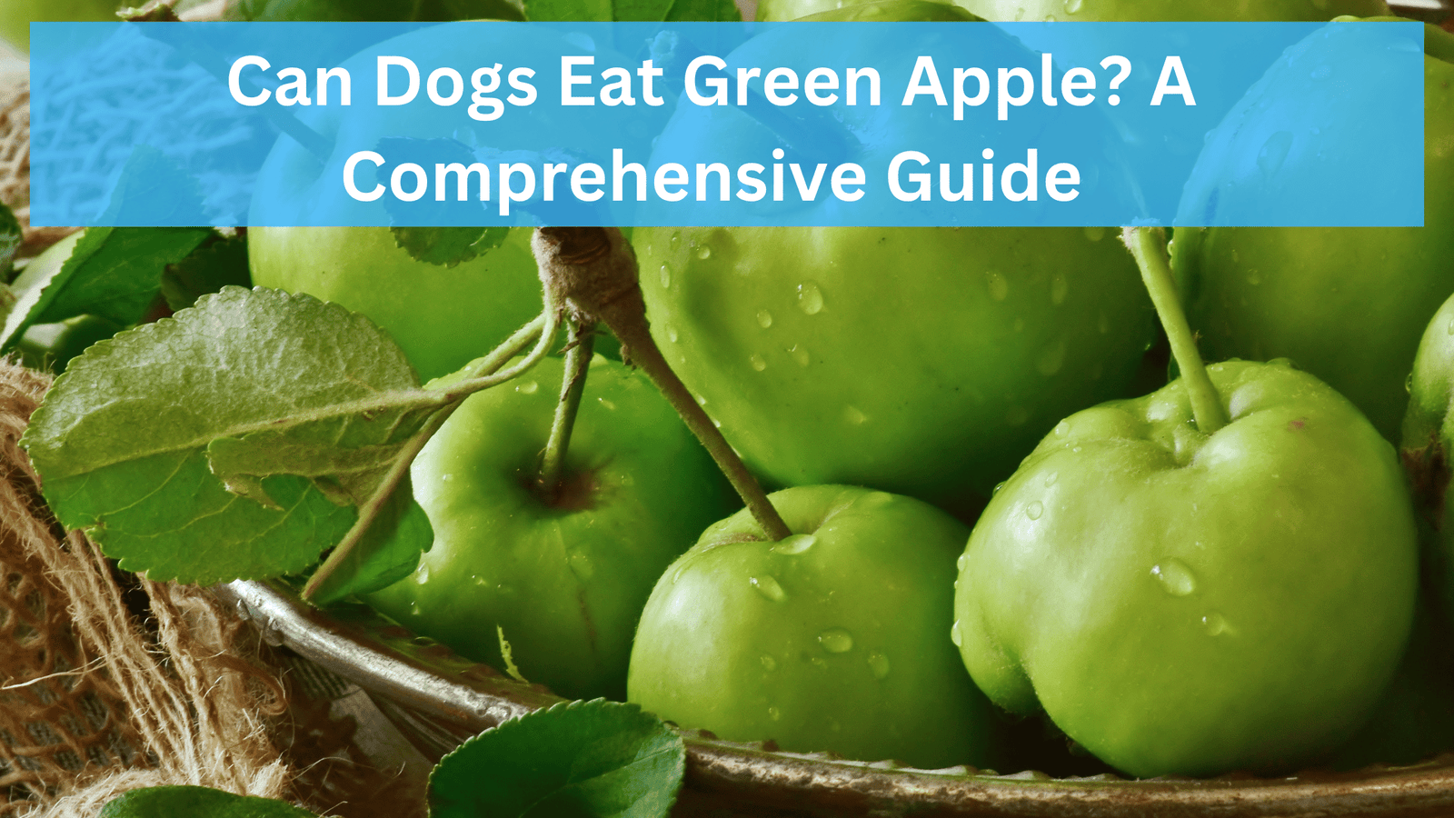 Can Dogs Eat Green Apple