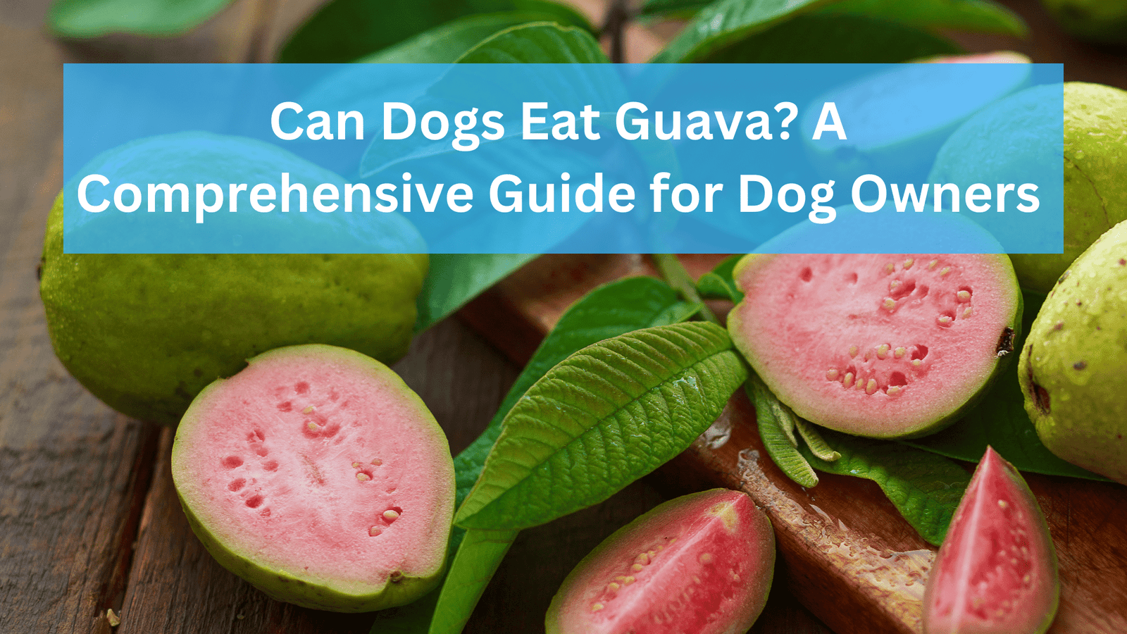 Can Dogs Eat Guava? A Comprehensive Guide for Dog Owners