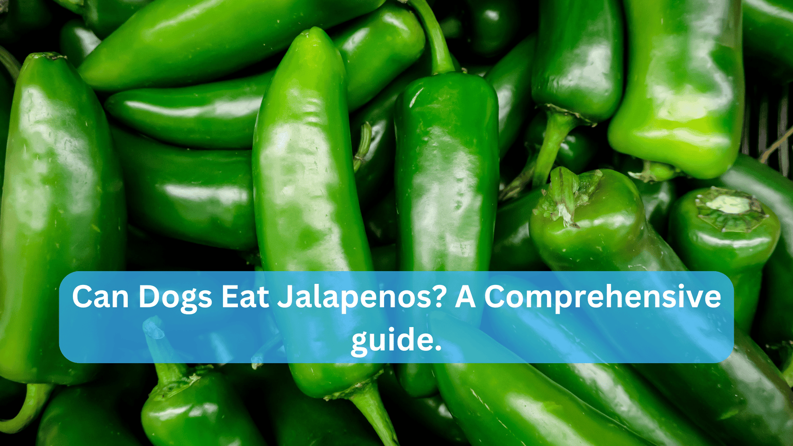 Can Dogs Eat Jalapenos