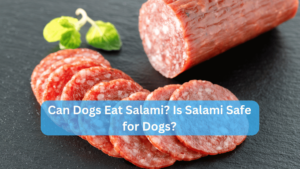 Can Dogs Eat Salami