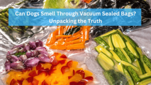 Can Dogs Smell Through Vacuum Sealed Bags