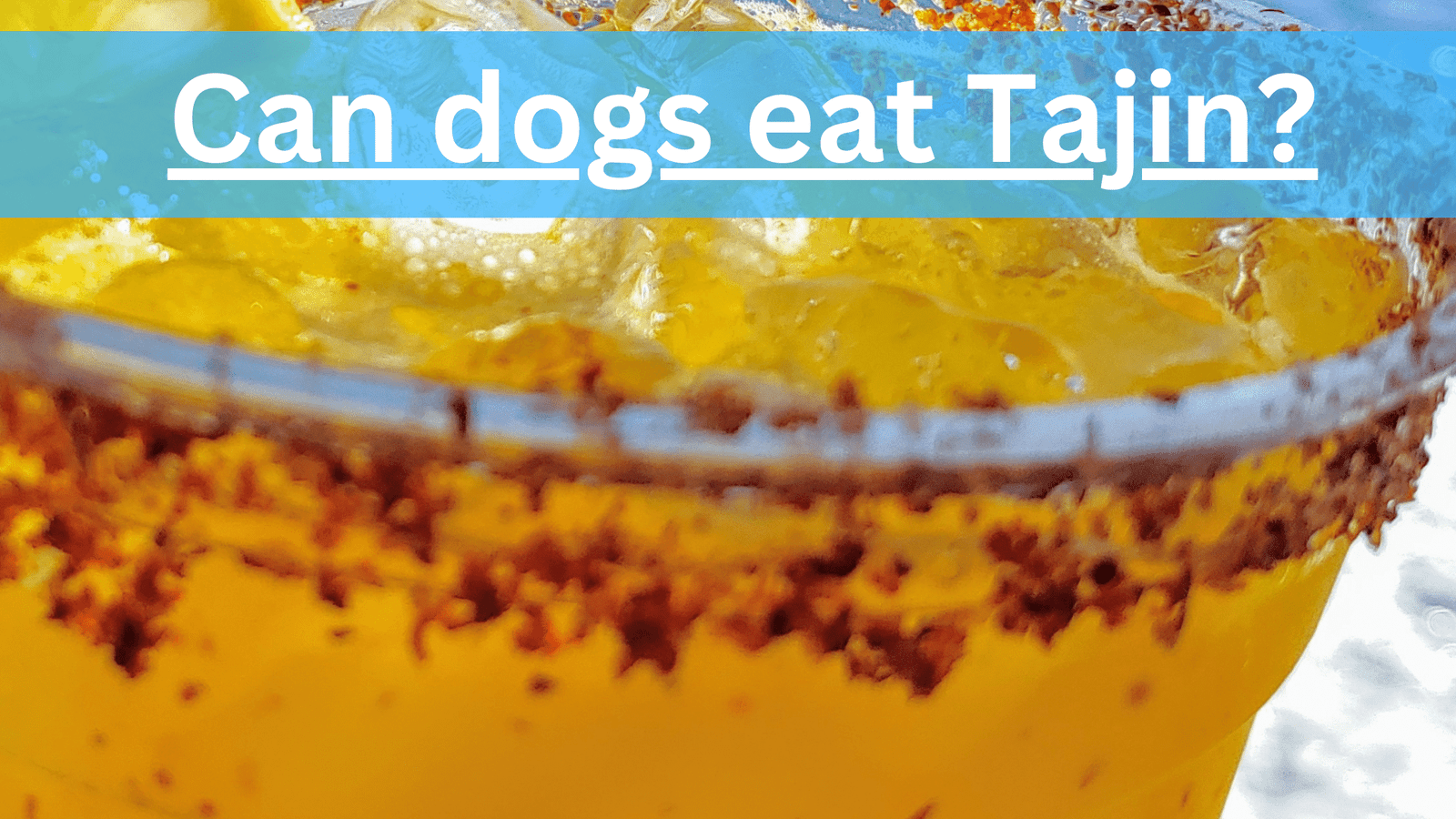 Can dogs eat Tajin