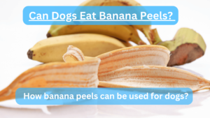 Can Dogs Eat Banana Peels