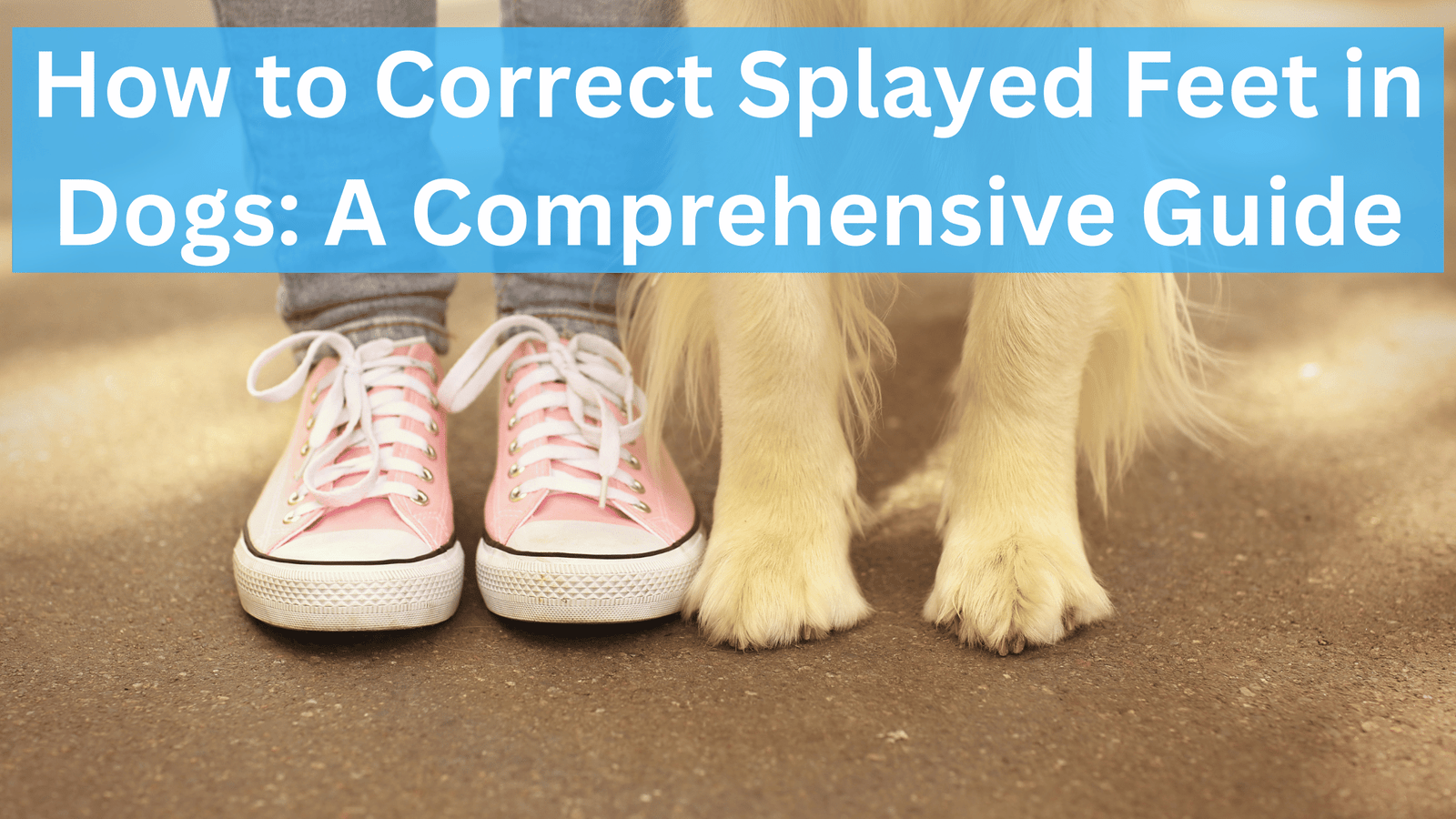 How to Correct Splayed Feet in Dogs: A Comprehensive Guide