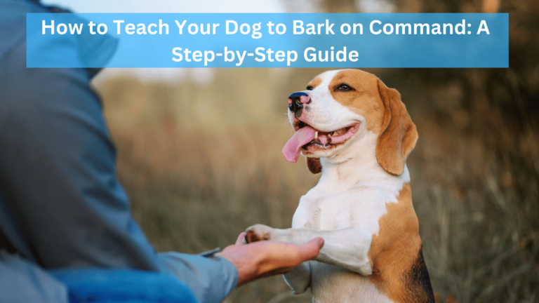 How to Teach Your Dog to Bark on Command