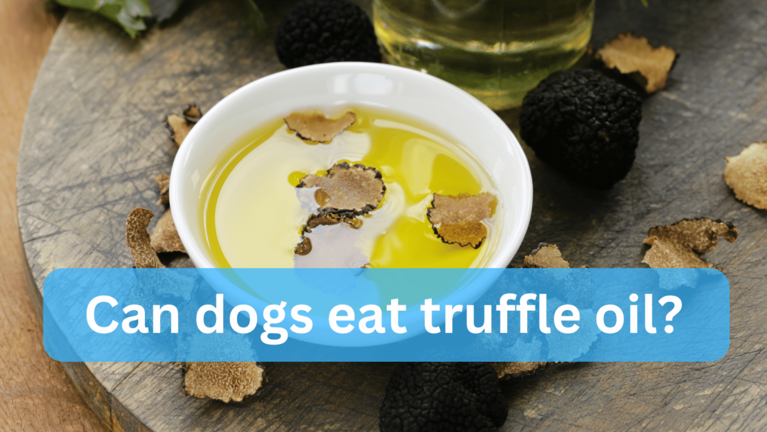 Can Dogs Eat Truffle Oil