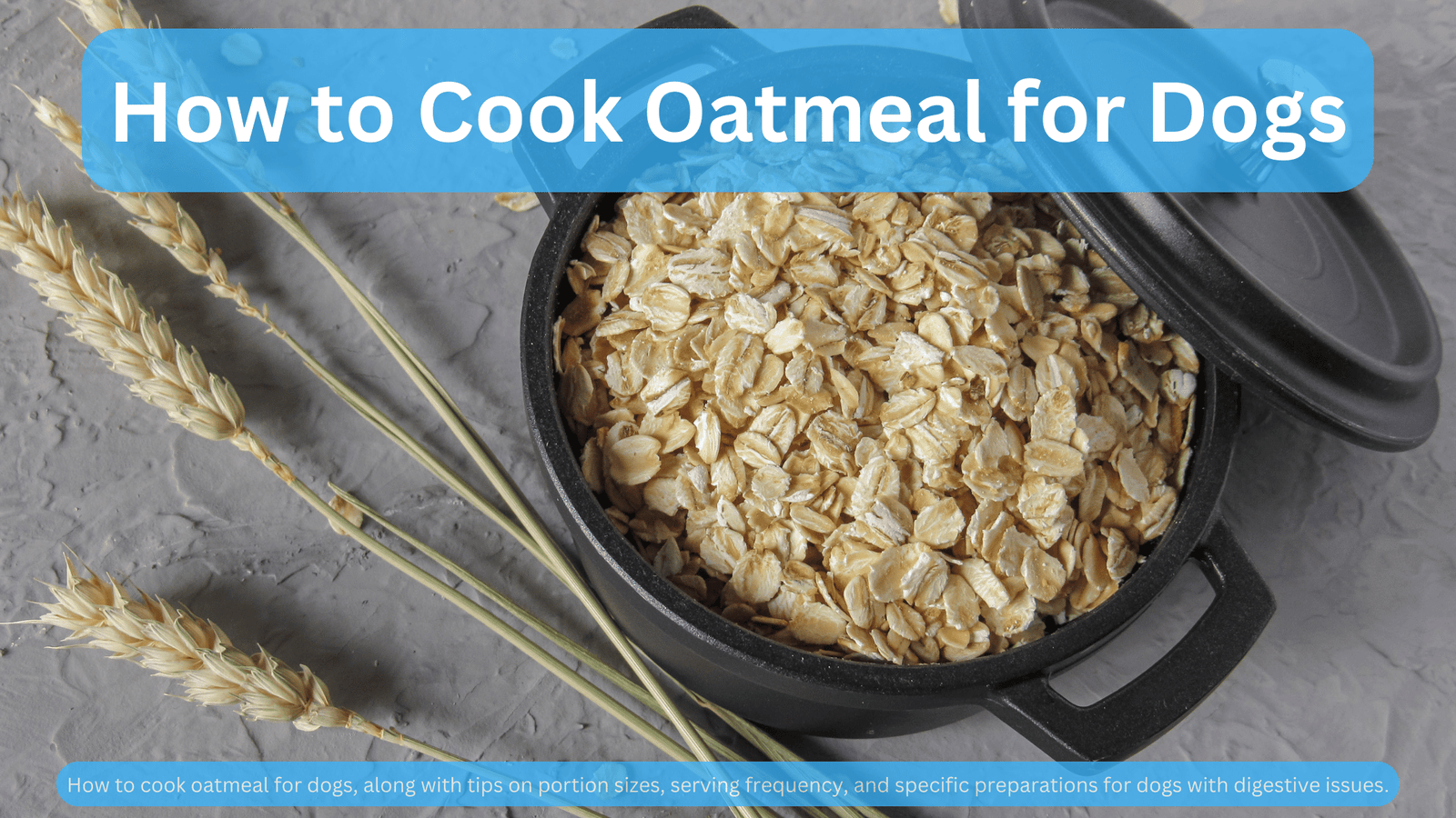 how to cook oatmeal for dogs