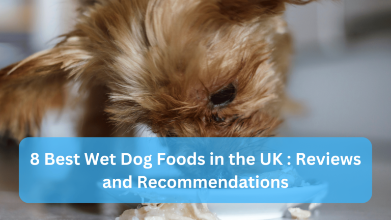 8 Best Wet Dog Foods in the UK Reviews and Recommendations