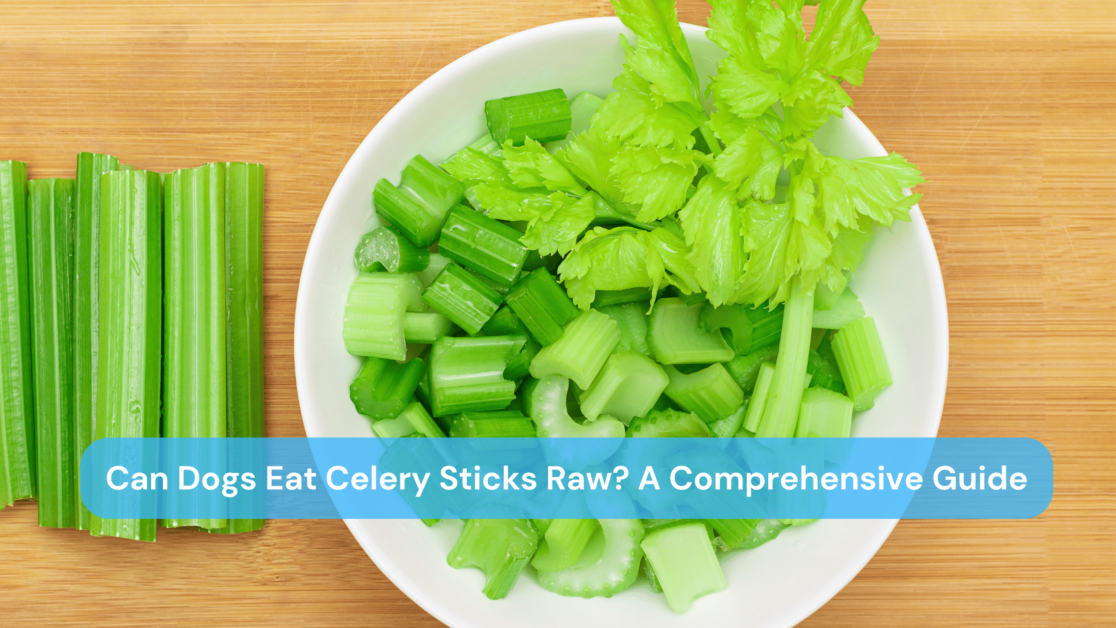 Can Dogs Eat Celery Sticks Raw
