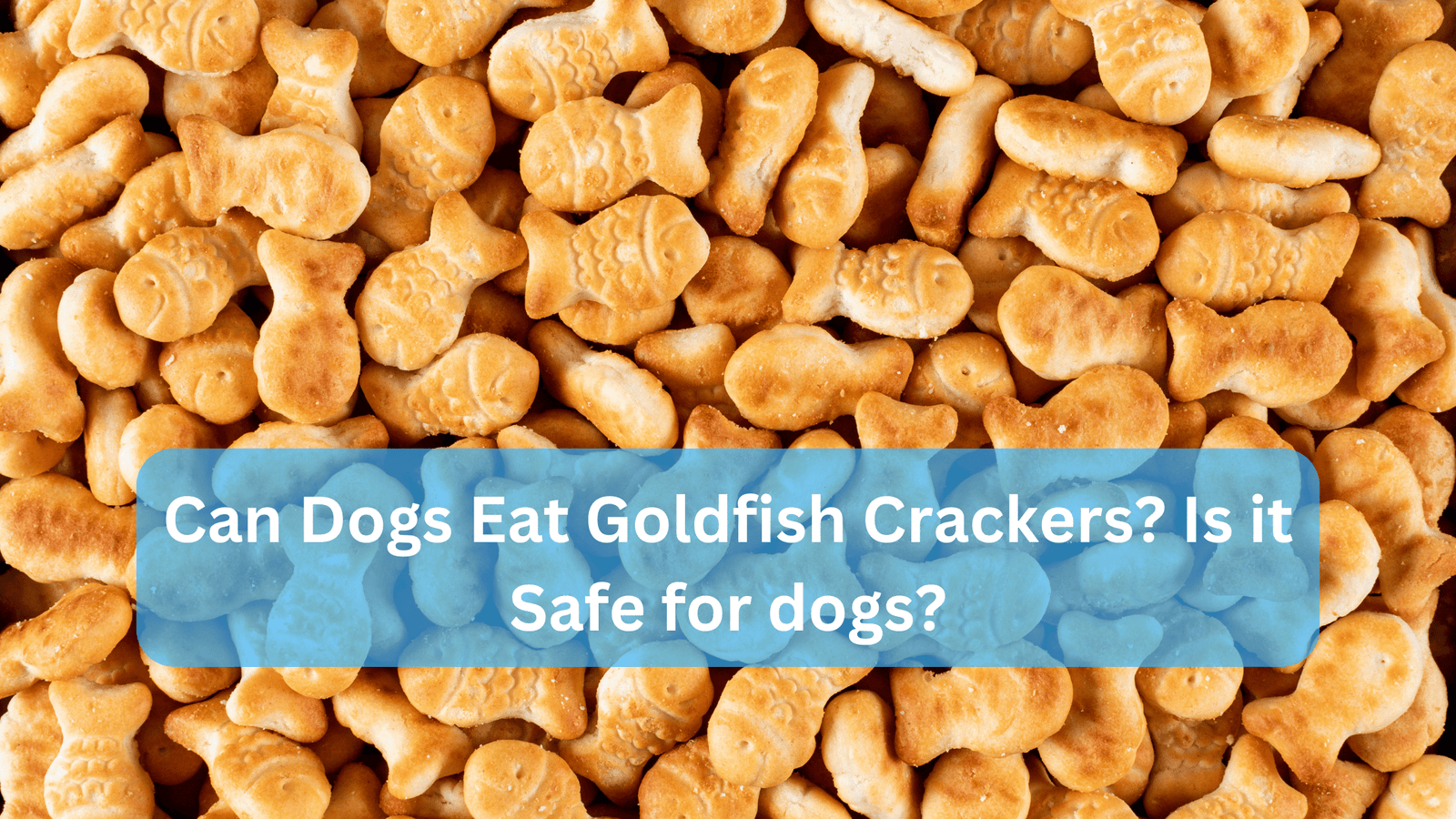 Can Dogs Eat Goldfish Crackers? Is it Safe for dogs?