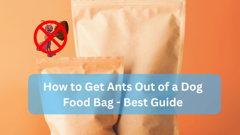 How to Get Ants Out of a Dog Food Bag