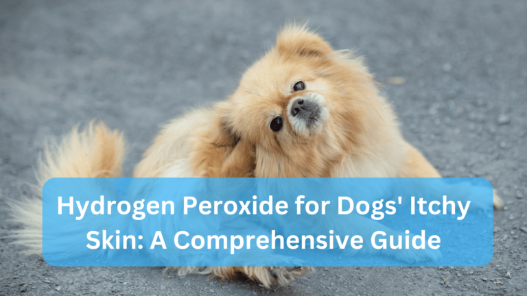 Hydrogen Peroxide for Dogs' Itchy Skin