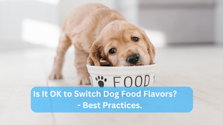 Is It OK to Switch Dog Food Flavors?