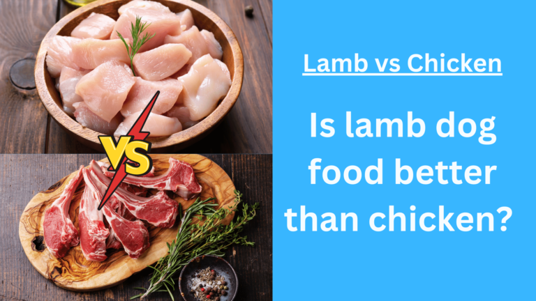 Is lamb dog food better than chicken?