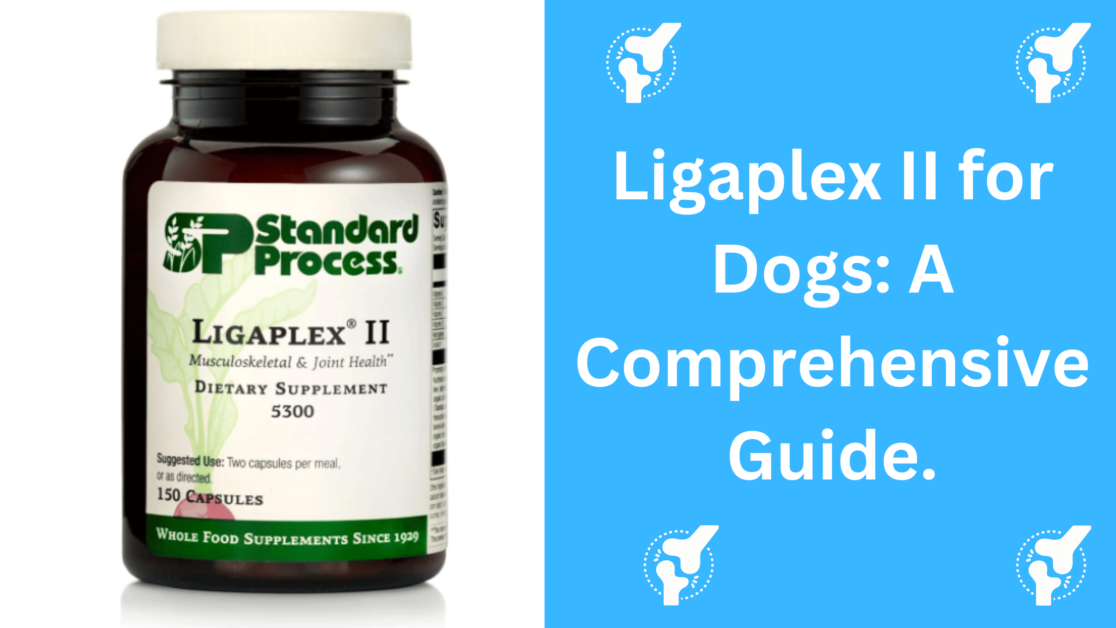 Ligaplex II for Dogs: A Comprehensive Guide.