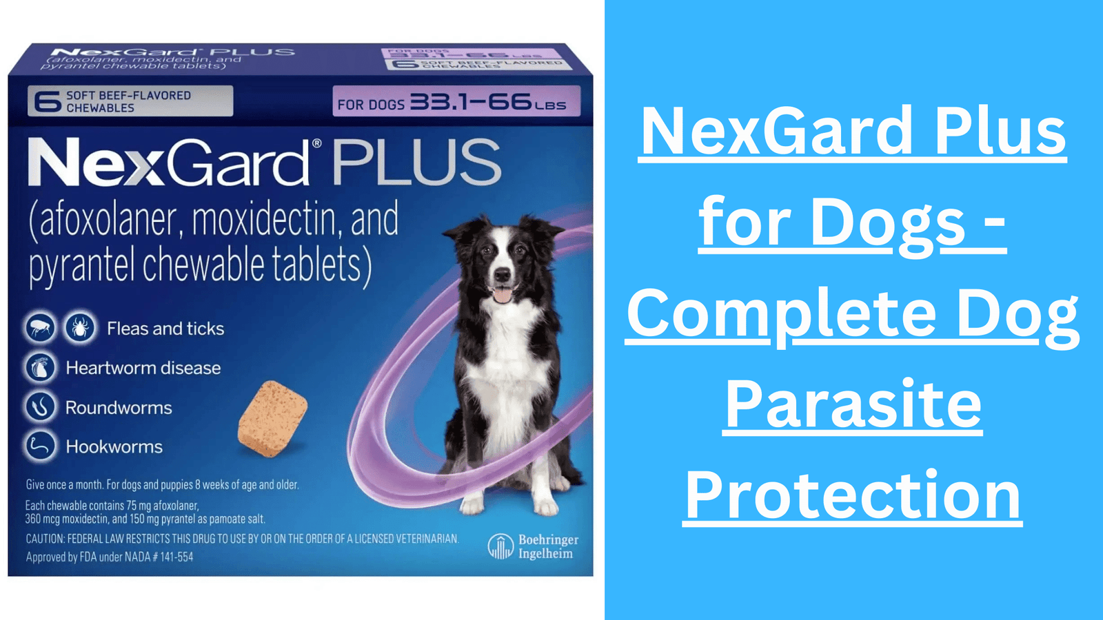 NexGard Plus for Dogs