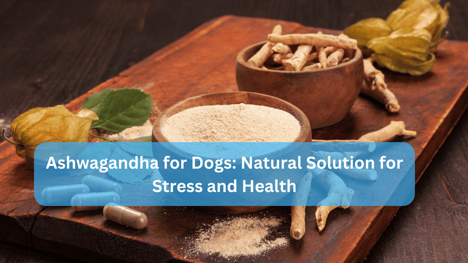 Ashwagandha for Dogs: Natural Solution for Stress and Health