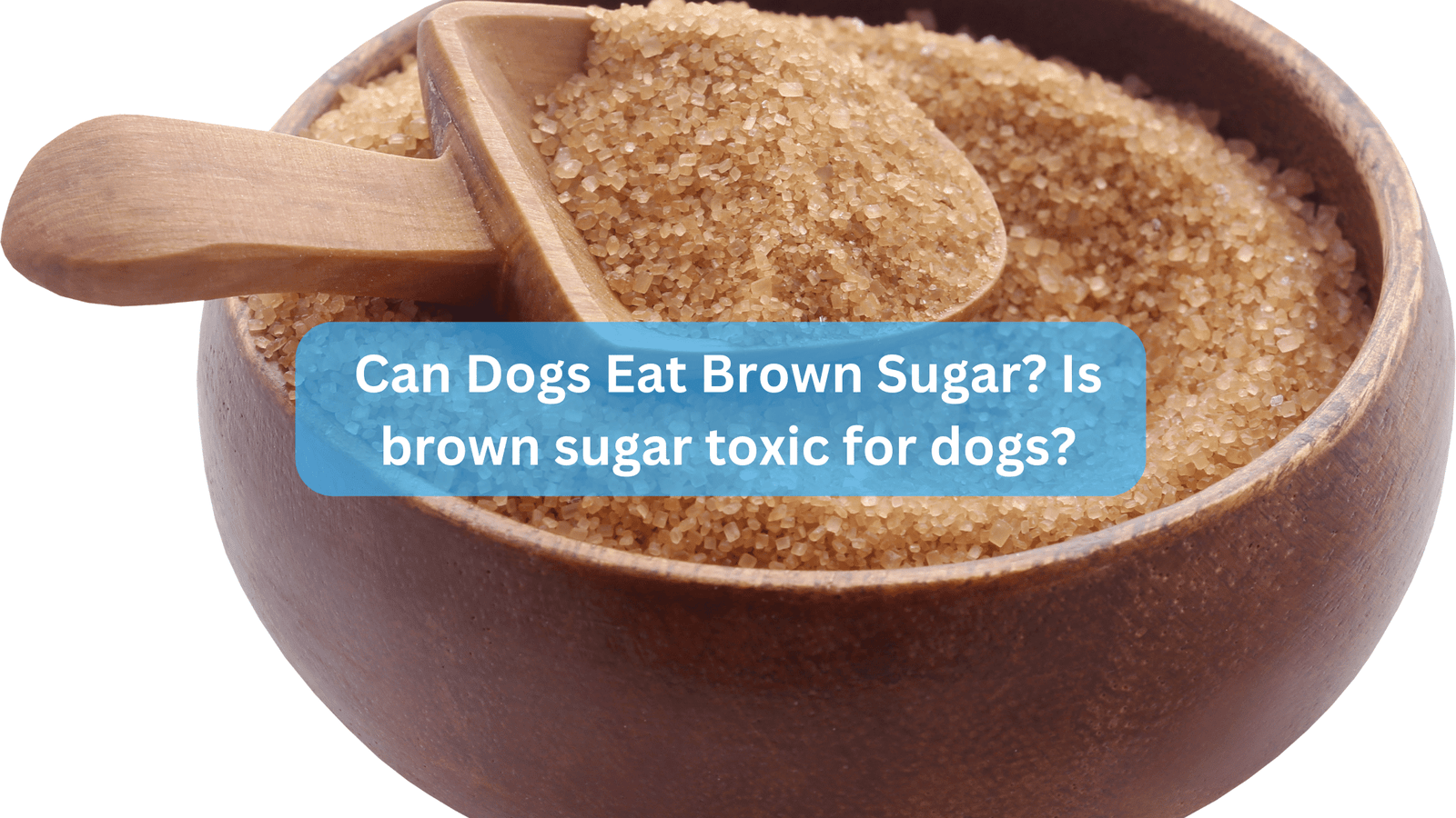 Can Dogs Eat Brown Sugar? Is brown sugar toxic for dogs?