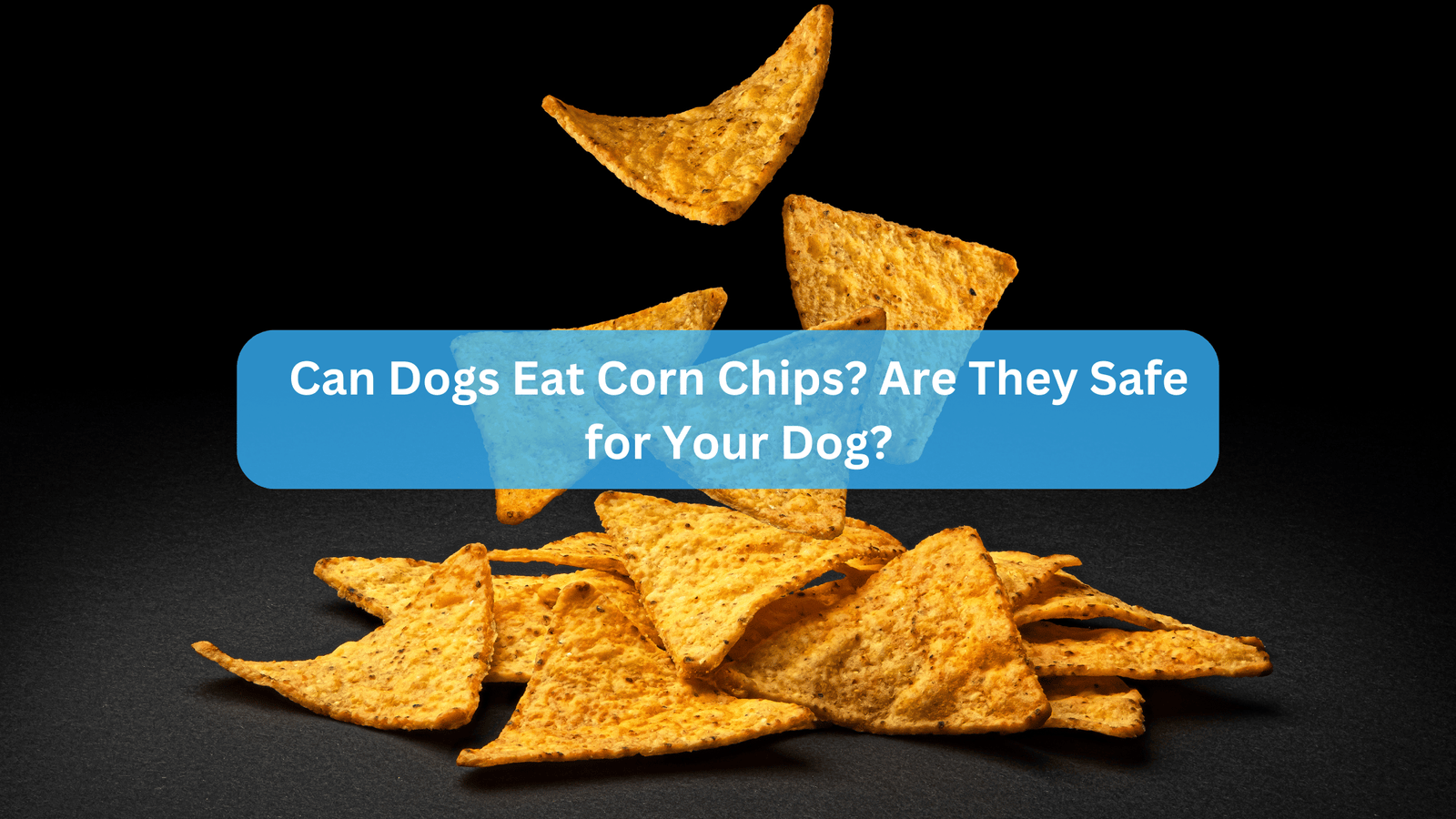 Can Dogs Eat Corn Chips? Are They Safe for Your Dog?