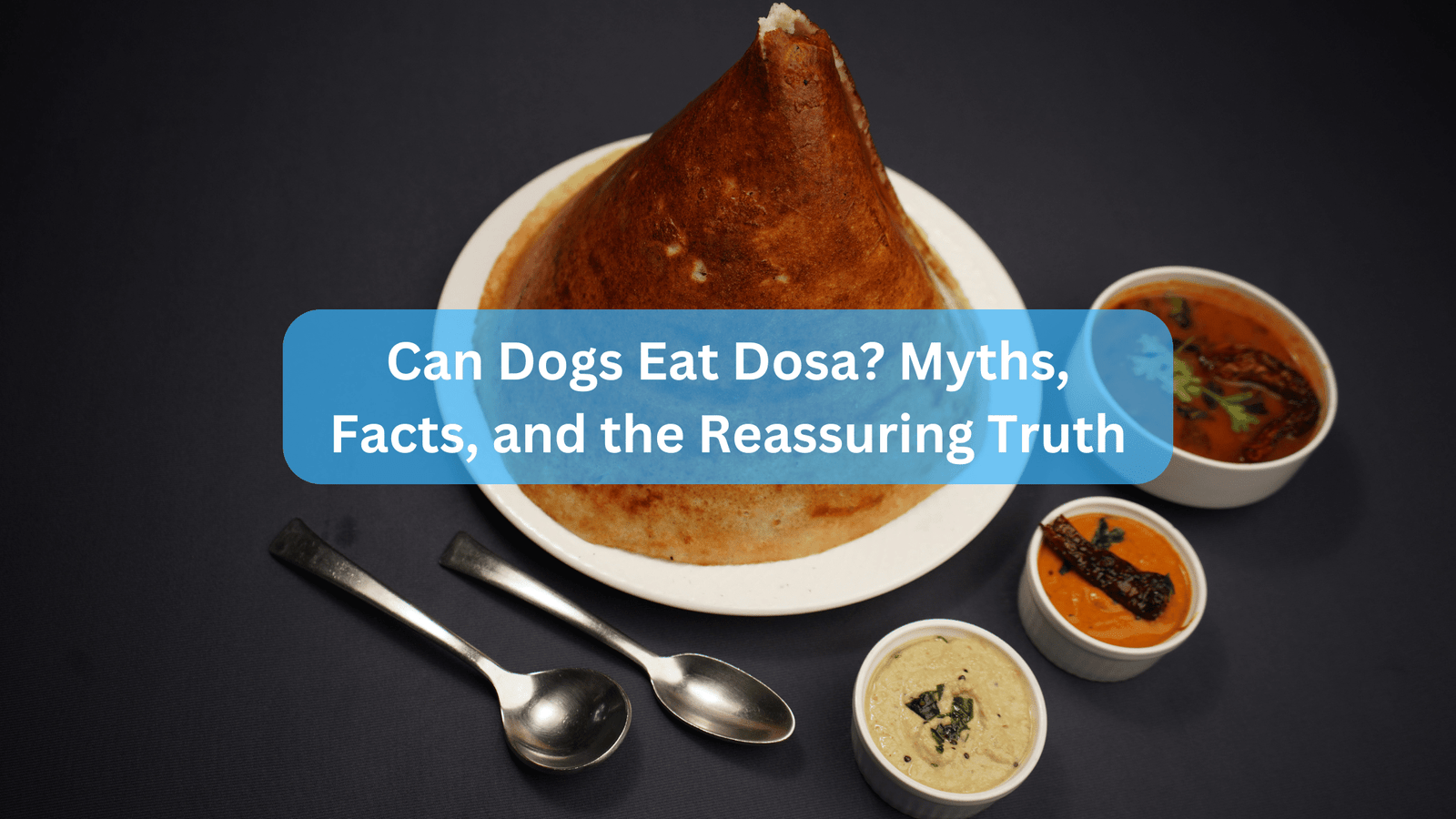 Can Dogs Eat Dosa