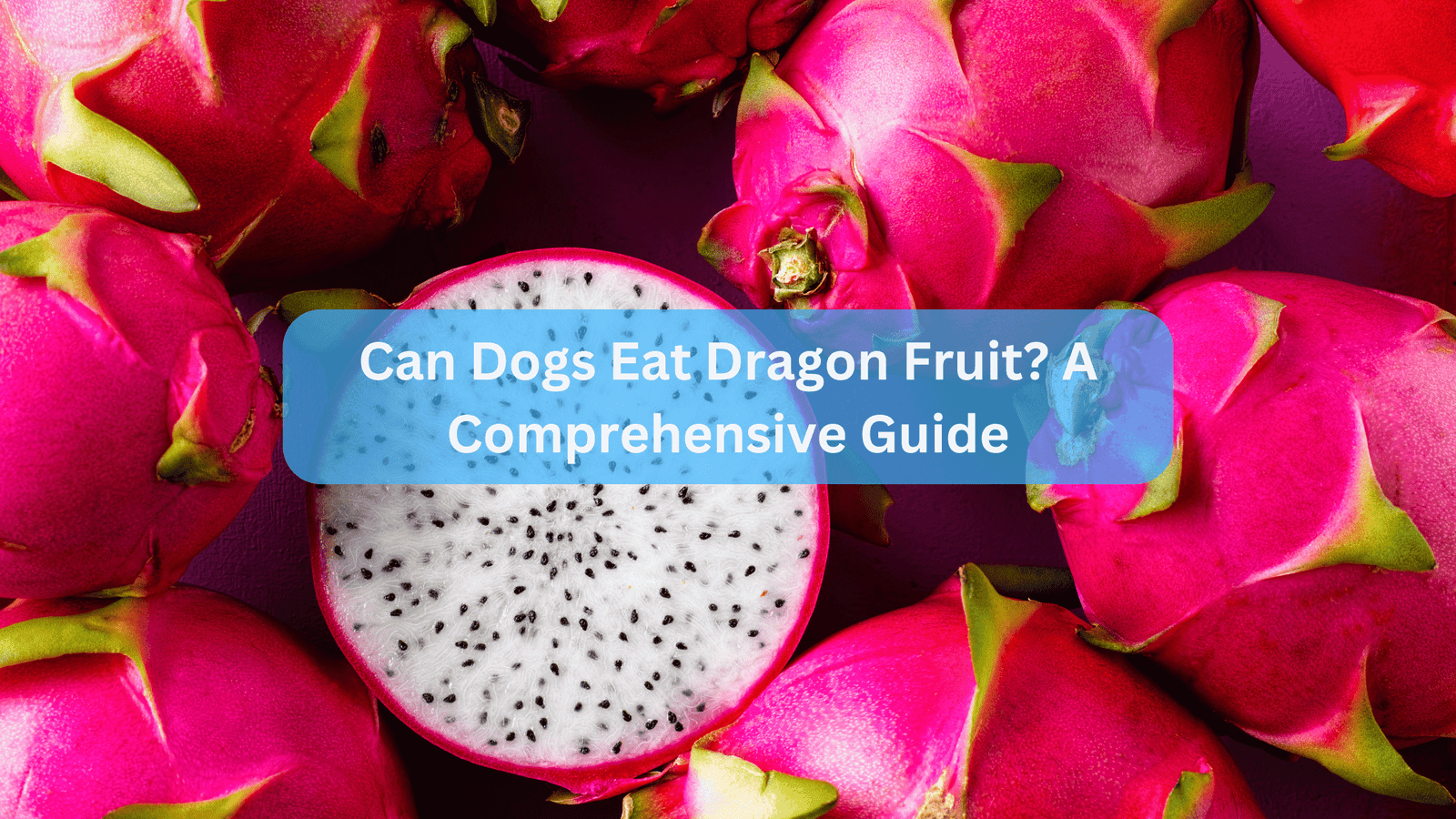 Can Dogs Eat Dragon Fruit? A Comprehensive Guide