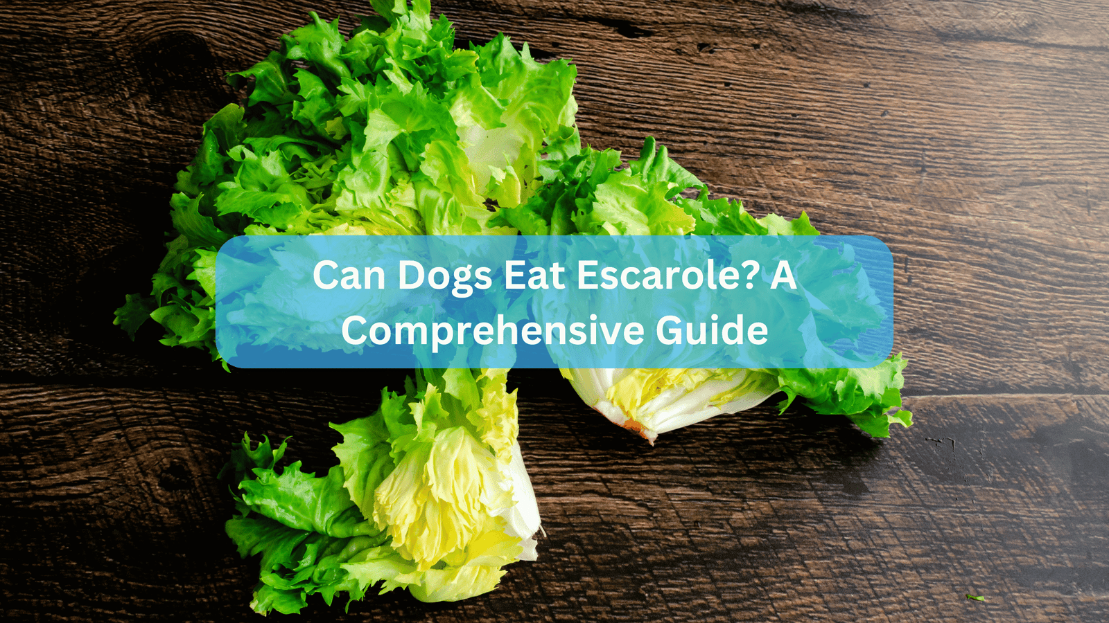 Can Dogs Eat Escarole? A Comprehensive Guide