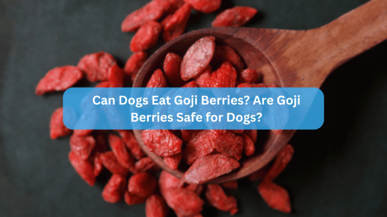 Can Dogs Eat Goji Berries