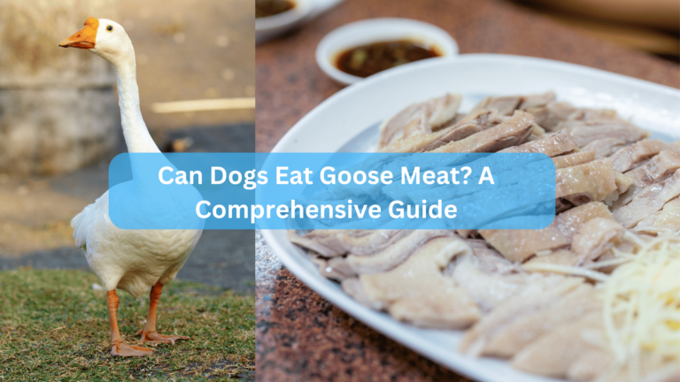 Can Dogs Eat Goose Meat? A Comprehensive Guide