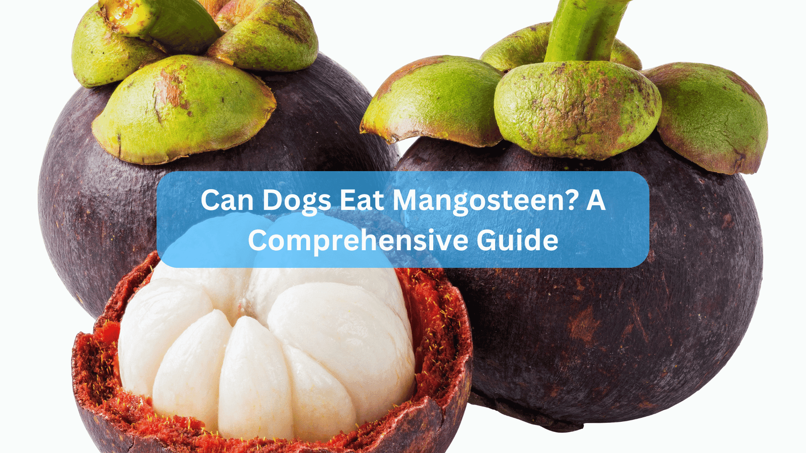 Can Dogs Eat Mangosteen? A Comprehensive Guide