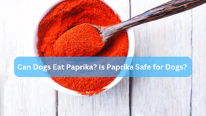 Can Dogs Eat Paprika? Is Paprika Safe for Dogs?