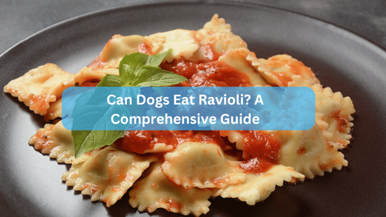 Can Dogs Eat Ravioli? A Comprehensive Guide