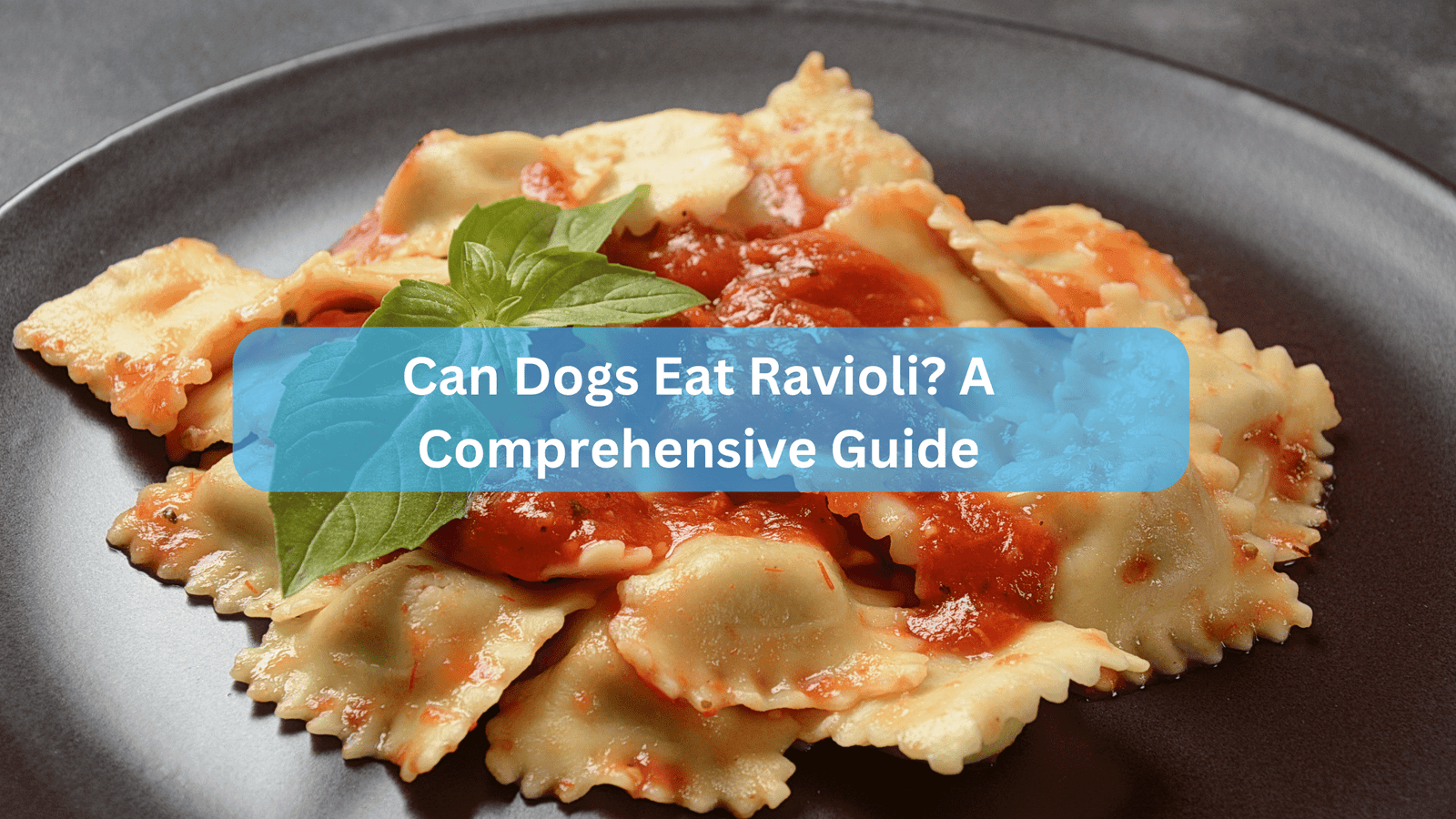 Can Dogs Eat Ravioli? A Comprehensive Guide