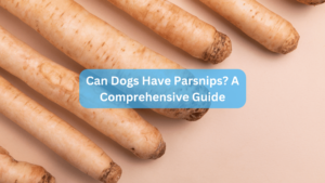 Can Dogs Have Parsnips? A Comprehensive Guide