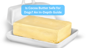 Is Cocoa Butter Safe for Dogs? An In-Depth Guide