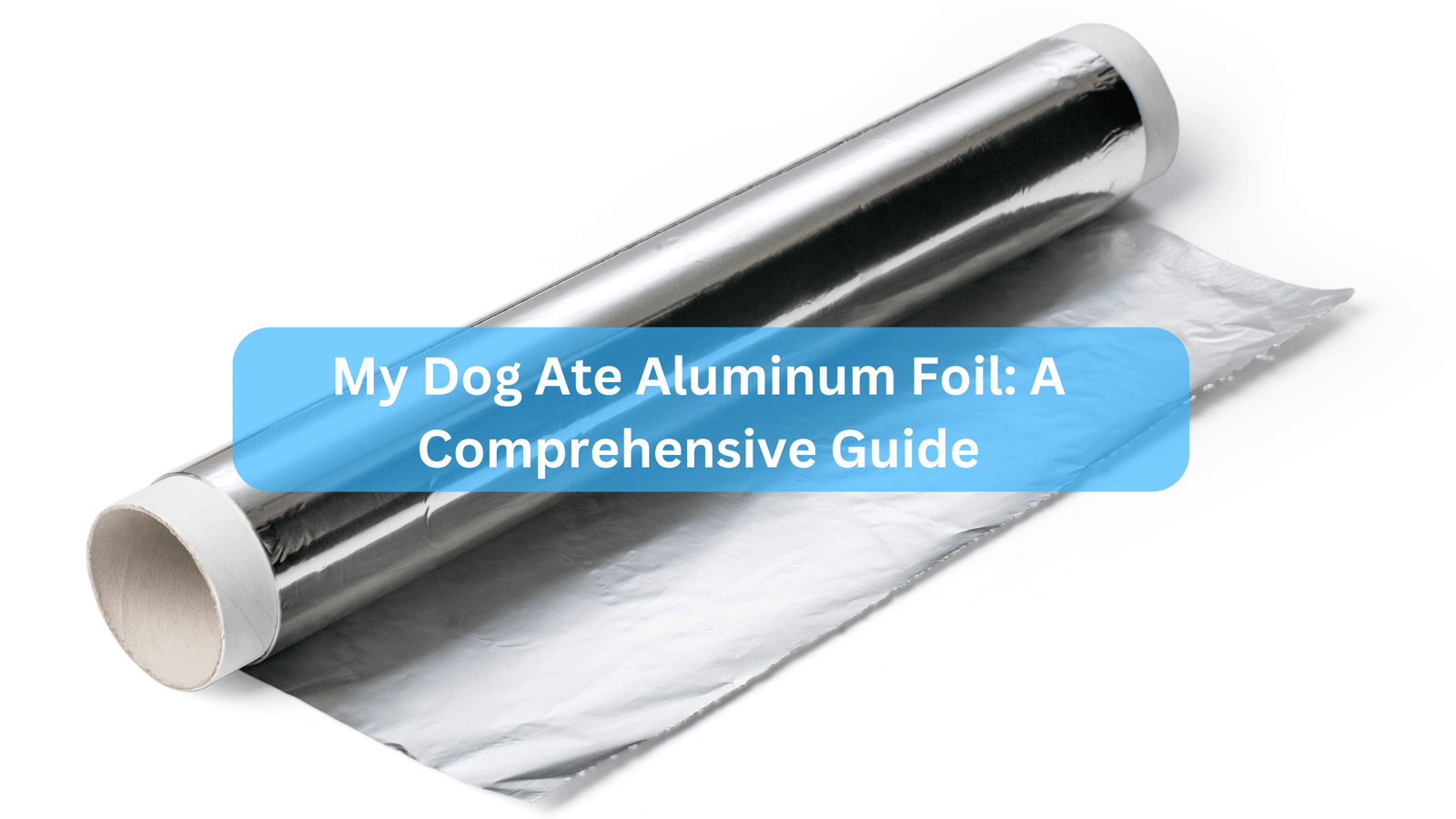 My Dog Ate Aluminum Foil: A Comprehensive Guide