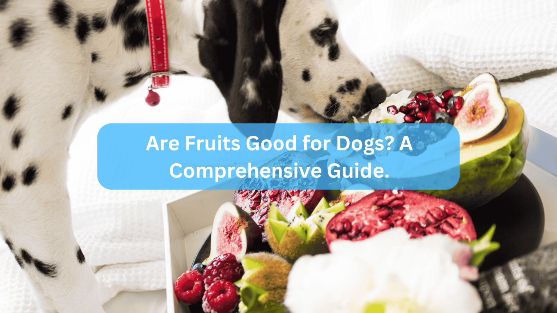 Are Fruits Good for Dogs? A Comprehensive Guide.