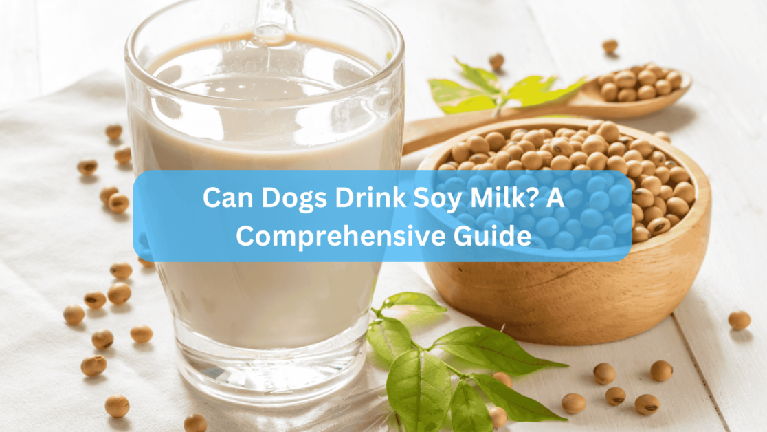 Can Dogs Drink Soy Milk? A Comprehensive Guide