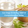 Can Dogs Drink Soy Milk? A Comprehensive Guide