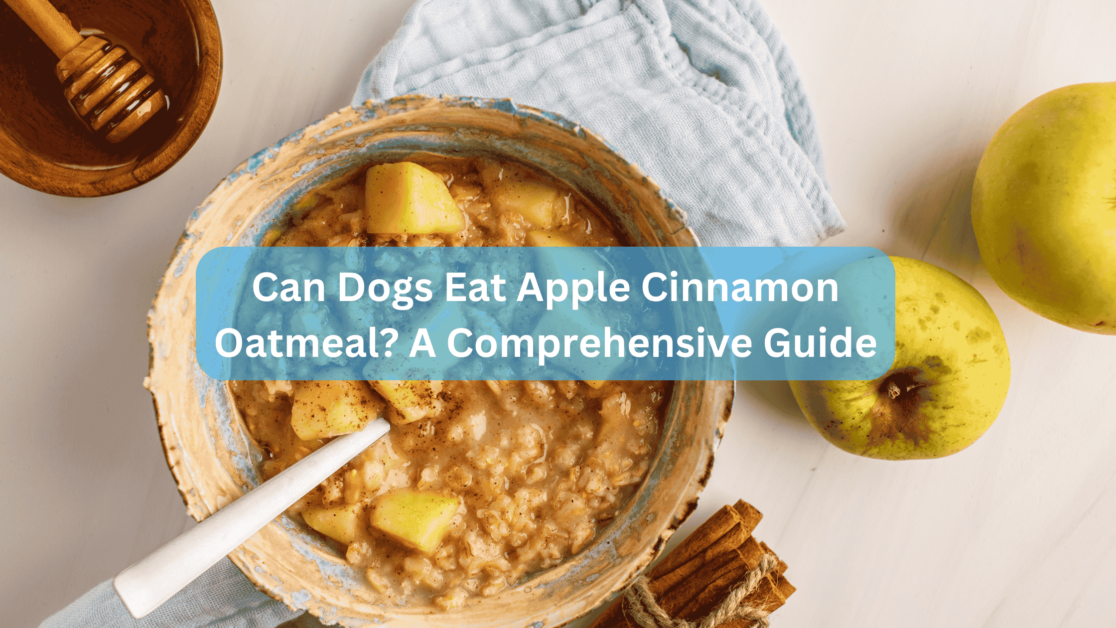 Can Dogs Eat Apple Cinnamon Oatmeal? A Comprehensive Guide