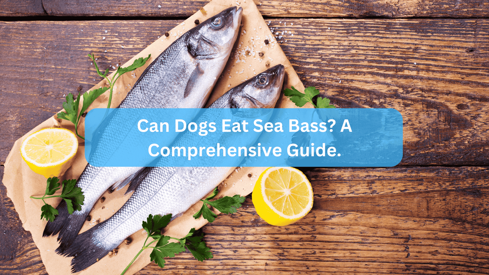 Can Dogs Eat Sea Bass? A Comprehensive Guide.