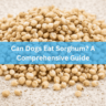 Can Dogs Eat Sorghum? A Comprehensive Guide