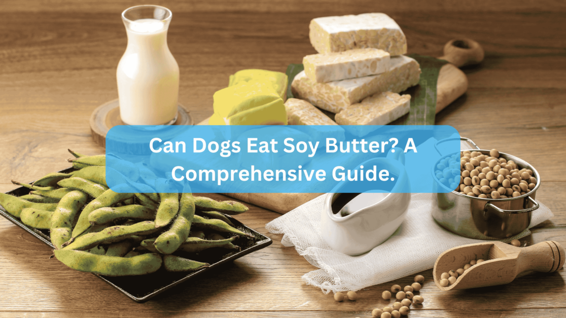 Can Dogs Eat Soy Butter? A Comprehensive Guide.