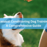 Classical Conditioning Dog Training: A Comprehensive Guide