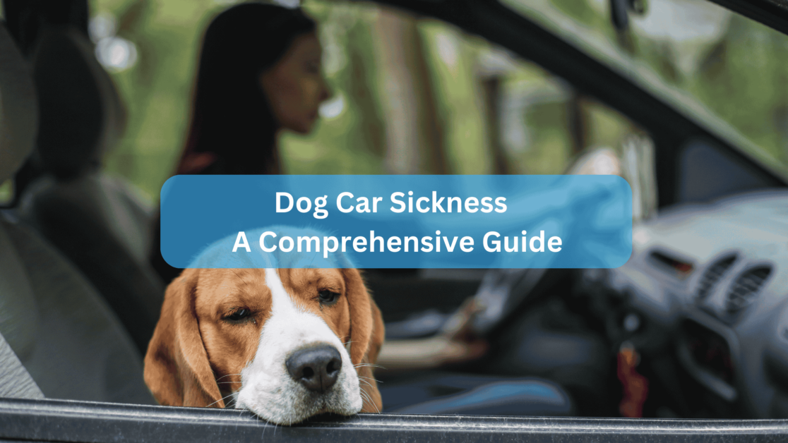 Dog Car Sickness - A Comprehensive Guide