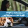 Dog Car Sickness - A Comprehensive Guide