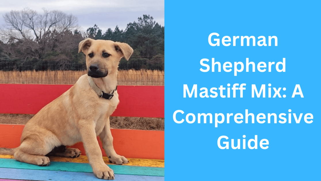 German Shepherd Mastiff Mix: A Comprehensive Guide