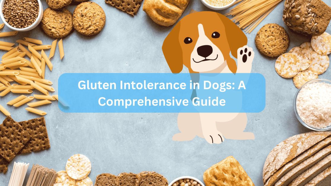 Gluten Intolerance in Dogs: A Comprehensive Guide