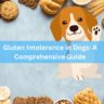 Gluten Intolerance in Dogs: A Comprehensive Guide