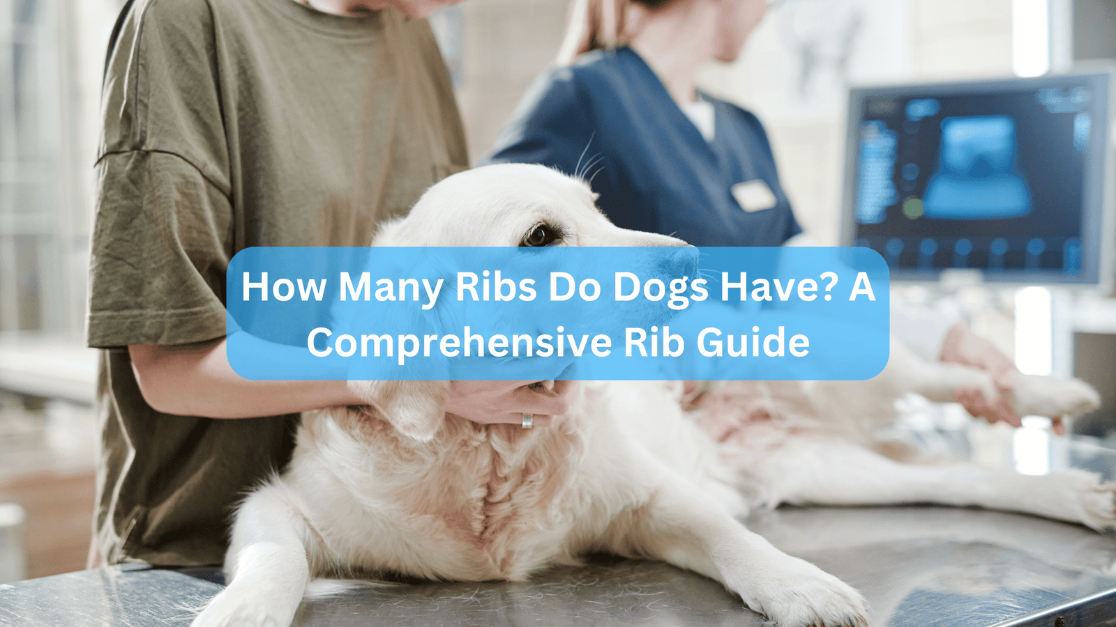 How Many Ribs Do Dogs Have? A Comprehensive Rib Guide