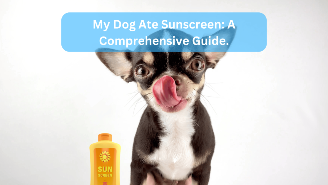 My Dog Ate Sunscreen: A Comprehensive Guide.